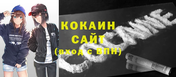 ГАЛЛЮЦИНОГЕННЫЕ ГРИБЫ Алзамай