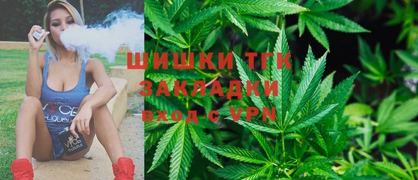 ГАЛЛЮЦИНОГЕННЫЕ ГРИБЫ Алзамай
