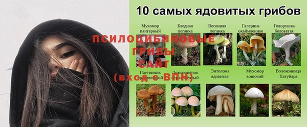 ГАЛЛЮЦИНОГЕННЫЕ ГРИБЫ Алзамай
