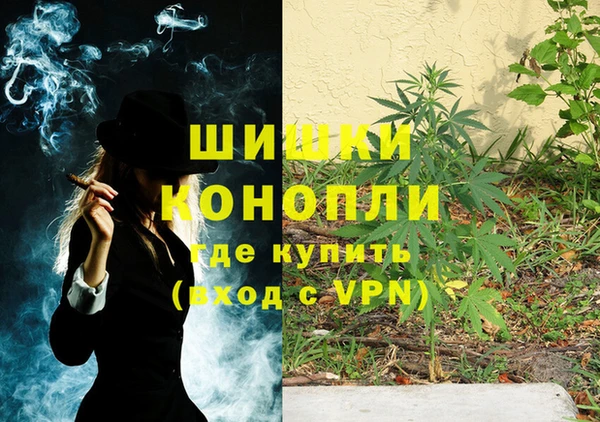 ГАЛЛЮЦИНОГЕННЫЕ ГРИБЫ Алзамай